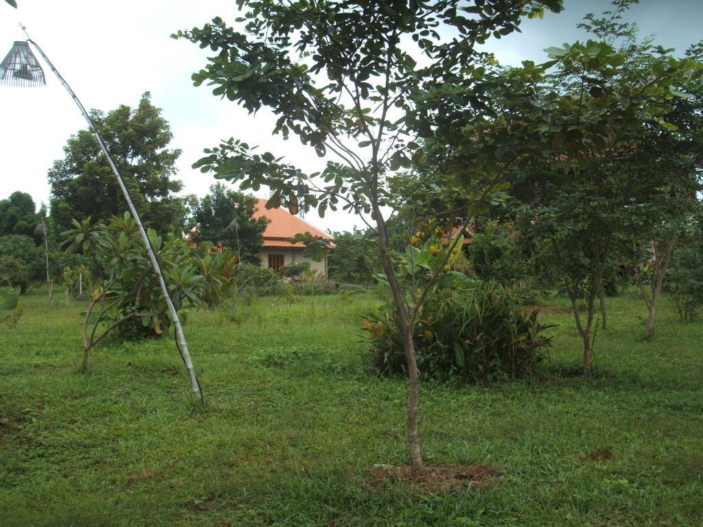 Green Plateau Lodge Banlung Luaran gambar